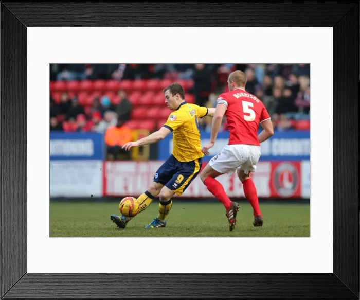 Framed Print : Brighton & Hove Albion vs Charlton Athletic (Away): 26-12-2013 - Season 2013-14 Framed Print : Brighton & Hove Albion vs Charlton Athletic (Away): 26-12-2013 - Season 2013-14