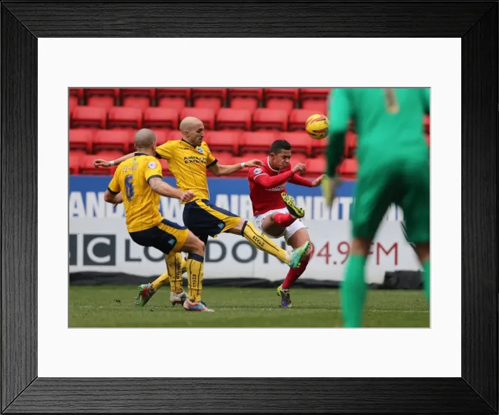Framed Print : Brighton & Hove Albion vs Charlton Athletic (Away): 26-12-2013 - Season 2013-14: Away Game Framed Print : Brighton & Hove Albion vs Charlton Athletic (Away): 26-12-2013 - Season 2013-14: Away Game