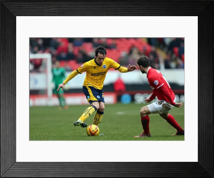 Framed Print : Brighton & Hove Albion vs Charlton Athletic: 26-12-2013 - Away Game Framed Print : Brighton & Hove Albion vs Charlton Athletic: 26-12-2013 - Away Game