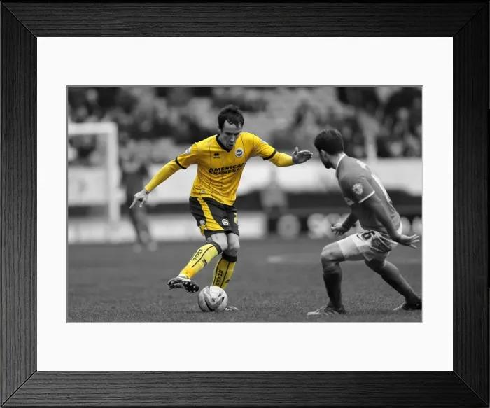 Framed Print : Brighton & Hove Albion vs Charlton Athletic: Away Game - December 26, 2013 (Season 2013-14) Framed Print : Brighton & Hove Albion vs Charlton Athletic: Away Game - December 26, 2013 (Season 2013-14)