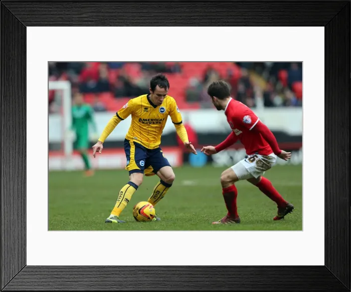 Framed Print : Brighton & Hove Albion vs Charlton Athletic: 2013-14 Away Game Framed Print : Brighton & Hove Albion vs Charlton Athletic: 2013-14 Away Game