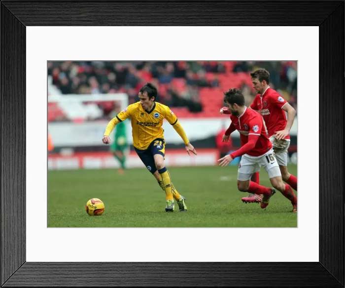 Framed Print : Brighton & Hove Albion vs Charlton Athletic (Away) - 26-12-2013, Season 2013-14 Framed Print : Brighton & Hove Albion vs Charlton Athletic (Away) - 26-12-2013, Season 2013-14