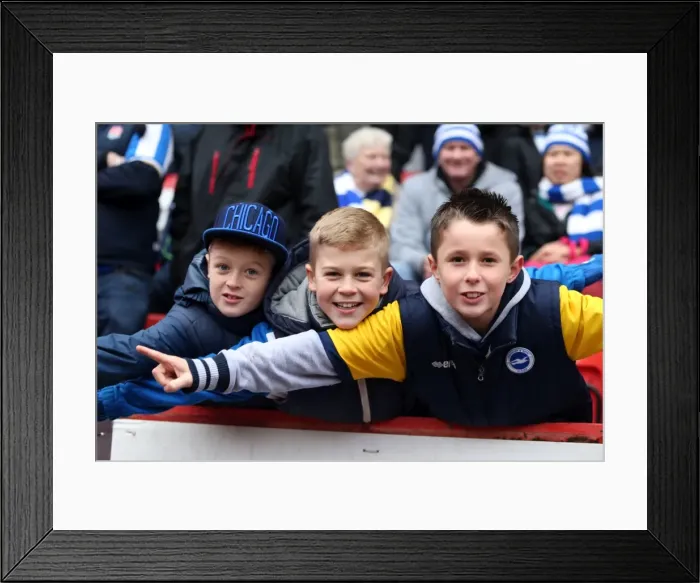 Framed Print : Brighton & Hove Albion vs Charlton Athletic (Away): 26-12-2013 - Season 2013-14 Away Game Framed Print : Brighton & Hove Albion vs Charlton Athletic (Away): 26-12-2013 - Season 2013-14 Away Game