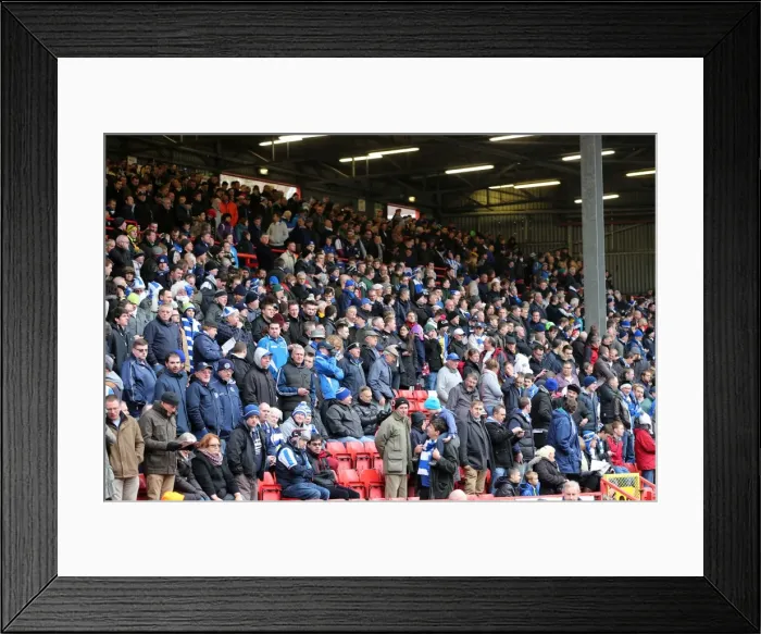Framed Print : Brighton & Hove Albion vs Charlton Athletic: Away Game - December 26, 2013 (Season 2013-14) Framed Print : Brighton & Hove Albion vs Charlton Athletic: Away Game - December 26, 2013 (Season 2013-14)