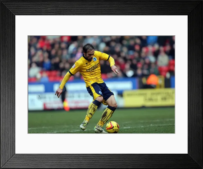 Framed Print : Brighton & Hove Albion vs Charlton Athletic: 2013-14 Away Game (December 26)