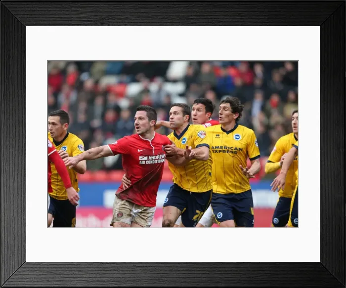 Framed Print : Brighton & Hove Albion vs Charlton Athletic (Away): 12-26-2013 - 2013-14 Season Framed Print : Brighton & Hove Albion vs Charlton Athletic (Away): 12-26-2013 - 2013-14 Season