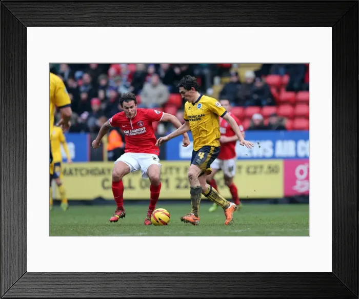 Framed Print : Brighton & Hove Albion vs Charlton Athletic: 2013-14 Away Game (December 26) Framed Print : Brighton & Hove Albion vs Charlton Athletic: 2013-14 Away Game (December 26)