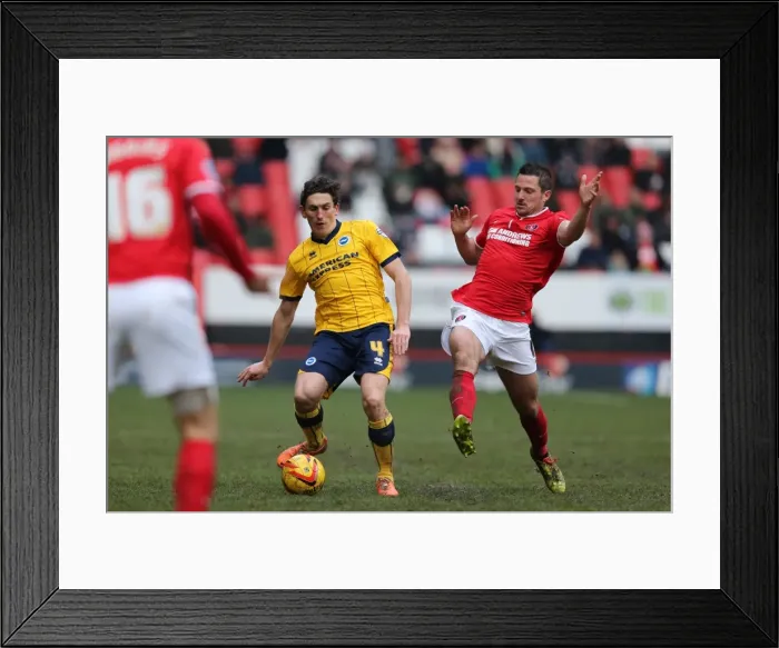 Framed Print : Brighton & Hove Albion vs Charlton Athletic (Away) - 26-12-2013, Season 2013-14 Framed Print : Brighton & Hove Albion vs Charlton Athletic (Away) - 26-12-2013, Season 2013-14