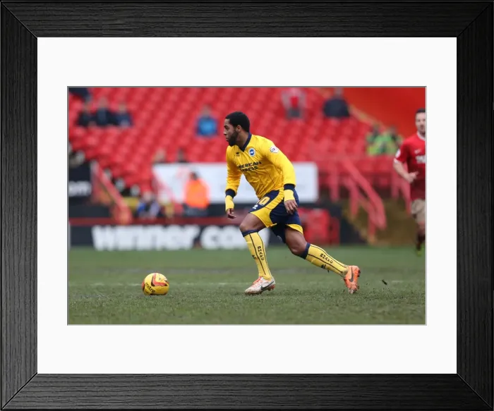 Framed Print : Brighton & Hove Albion vs Charlton Athletic (Away) - 26-12-2013, Season 2013-14 Framed Print : Brighton & Hove Albion vs Charlton Athletic (Away) - 26-12-2013, Season 2013-14