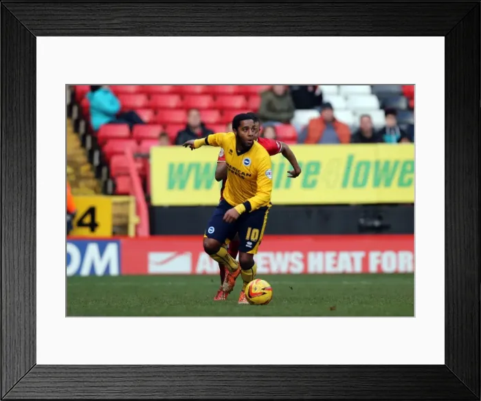 Framed Print : Brighton & Hove Albion vs Charlton Athletic: Away Game - 26-12-2013, Season 2013-14 Framed Print : Brighton & Hove Albion vs Charlton Athletic: Away Game - 26-12-2013, Season 2013-14
