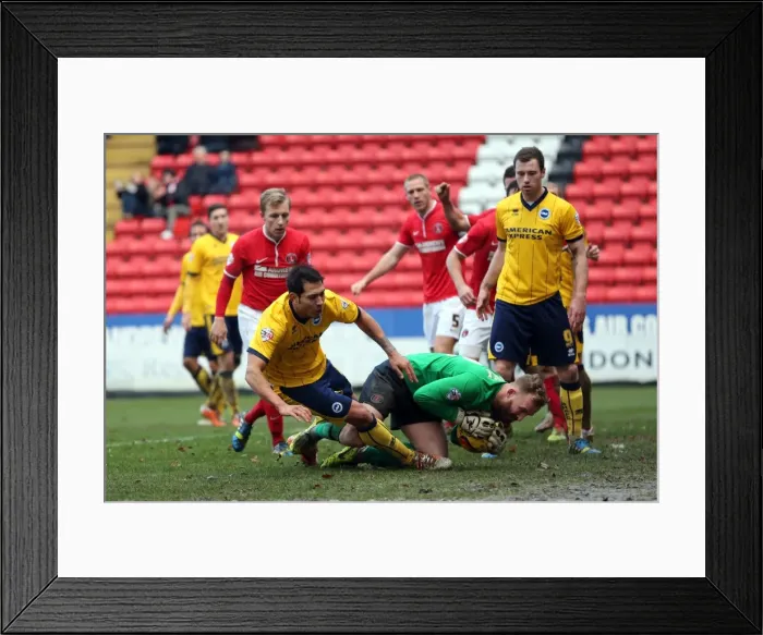 Framed Print : Brighton & Hove Albion vs Charlton Athletic: Away Game - 26-12-2013, Season 2013-14 Framed Print : Brighton & Hove Albion vs Charlton Athletic: Away Game - 26-12-2013, Season 2013-14