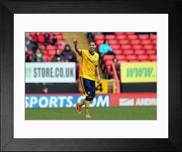 Framed Print : Brighton & Hove Albion vs Charlton Athletic: Away Game - December 26, 2013 (Season 2013-14) Framed Print : Brighton & Hove Albion vs Charlton Athletic: Away Game - December 26, 2013 (Season 2013-14)