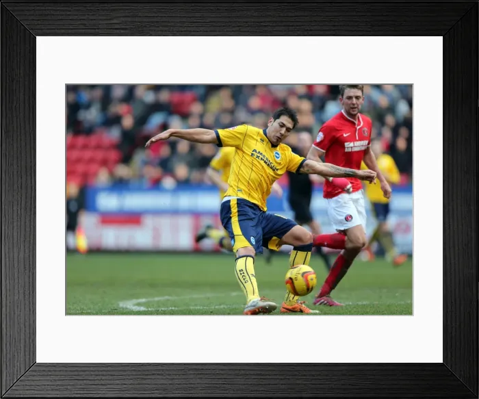 Framed Print : Brighton & Hove Albion vs Charlton Athletic (Away): 26-12-2013 - Season 2013-14: Away Game Framed Print : Brighton & Hove Albion vs Charlton Athletic (Away): 26-12-2013 - Season 2013-14: Away Game