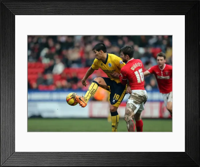 Framed Print : Brighton & Hove Albion vs Charlton Athletic (Away): 26-12-2013 - Season 2013-14 Framed Print : Brighton & Hove Albion vs Charlton Athletic (Away): 26-12-2013 - Season 2013-14