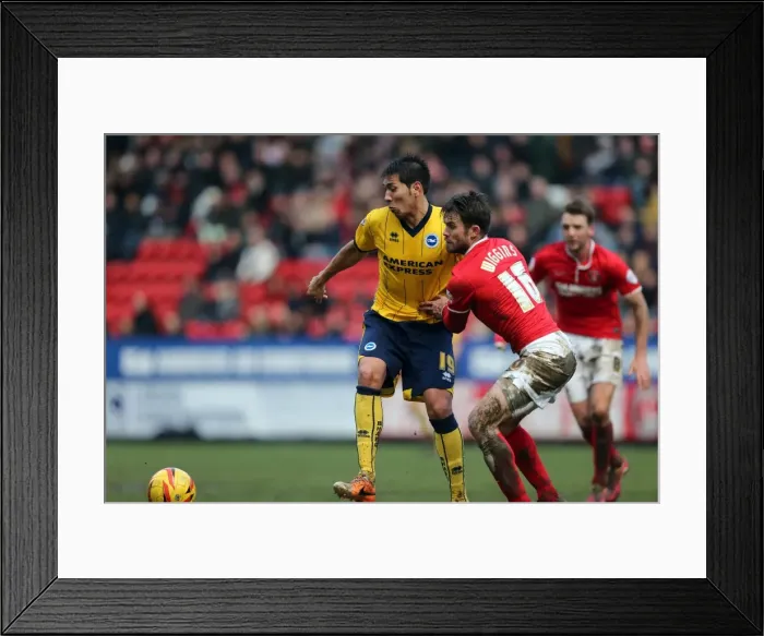 Framed Print : Brighton & Hove Albion vs Charlton Athletic: 2013-14 Away Game (December 26) Framed Print : Brighton & Hove Albion vs Charlton Athletic: 2013-14 Away Game (December 26)