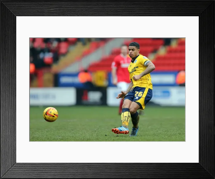 Framed Print : Brighton & Hove Albion vs Charlton Athletic (Away) - 26-12-2013, Season 2013-14 Framed Print : Brighton & Hove Albion vs Charlton Athletic (Away) - 26-12-2013, Season 2013-14
