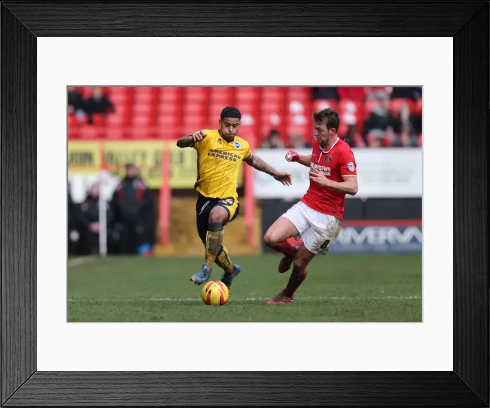 Framed Print : Brighton & Hove Albion vs Charlton Athletic: 2013-14 Away Game Framed Print : Brighton & Hove Albion vs Charlton Athletic: 2013-14 Away Game