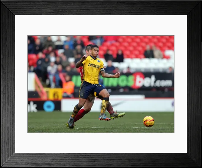 Framed Print : Brighton & Hove Albion vs Charlton Athletic (Away) - 26-12-2013, Season 2013-14 Framed Print : Brighton & Hove Albion vs Charlton Athletic (Away) - 26-12-2013, Season 2013-14