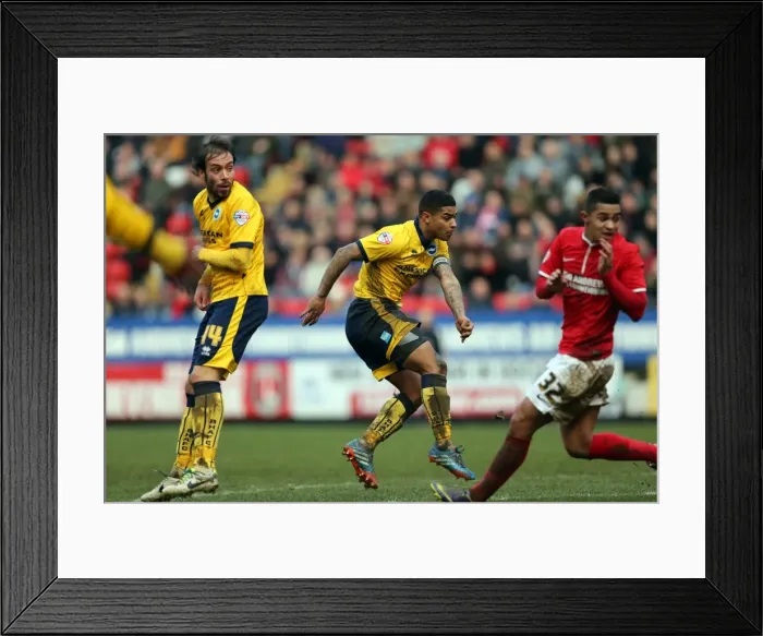Framed Print : Brighton & Hove Albion vs Charlton Athletic: 2013-14 Away Game (December 26) Framed Print : Brighton & Hove Albion vs Charlton Athletic: 2013-14 Away Game (December 26)