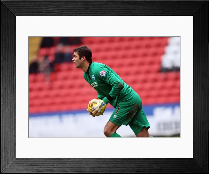 Framed Print : Brighton & Hove Albion vs Charlton Athletic: Away Game - 26-12-2013, Season 2013-14