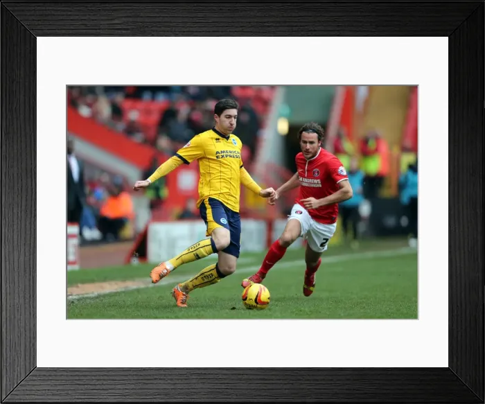 Framed Print : Brighton & Hove Albion vs Charlton Athletic (Away): 26-12-2013, Season 2013-14 Framed Print : Brighton & Hove Albion vs Charlton Athletic (Away): 26-12-2013, Season 2013-14