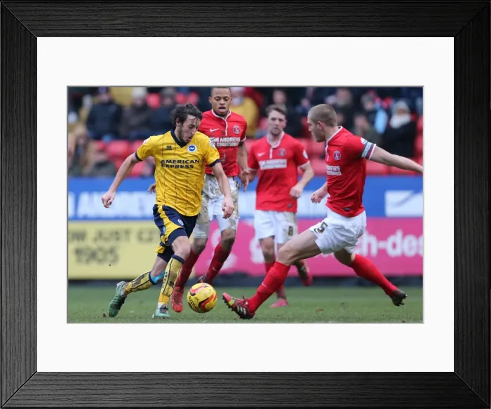 Framed Print : Brighton & Hove Albion vs Charlton Athletic: 2013-14 Away Game Framed Print : Brighton & Hove Albion vs Charlton Athletic: 2013-14 Away Game