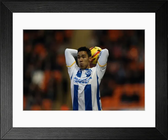 Framed Print : Brighton & Hove Albion vs. Blackpool: 2013-14 Away Game (December 29, 2013) Framed Print : Brighton & Hove Albion vs. Blackpool: 2013-14 Away Game (December 29, 2013)