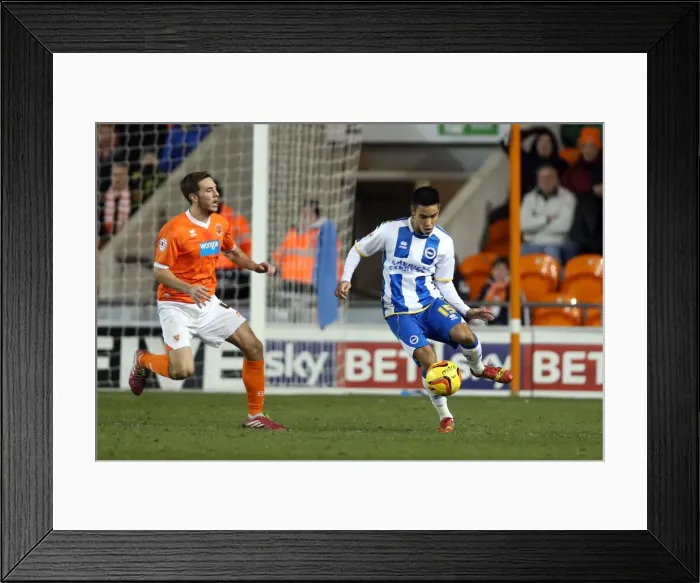 Framed Print : Brighton & Hove Albion Away at Blackpool - December 29, 2013