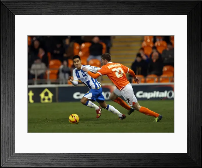 Framed Print : Brighton & Hove Albion vs. Blackpool - 29-12-2013: Away Game, 2013-14 Season