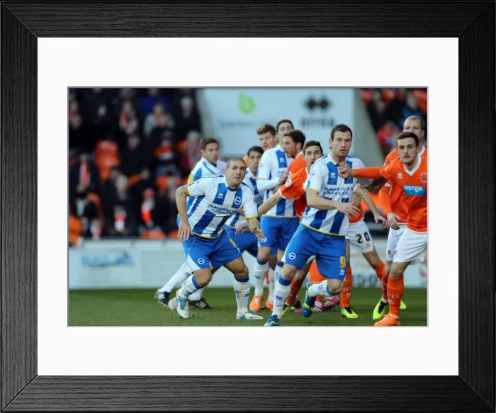 Framed Print : Brighton & Hove Albion vs. Blackpool: Away Game - December 29, 2013