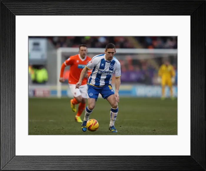 Framed Print : Brighton & Hove Albion vs. Blackpool - Away Game, 29-12-2013 Framed Print : Brighton & Hove Albion vs. Blackpool - Away Game, 29-12-2013