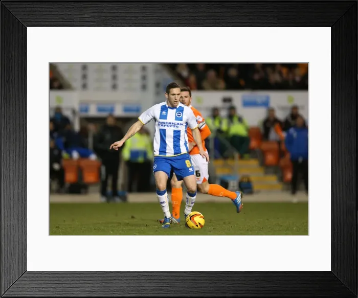 Framed Print : Brighton & Hove Albion Away at Blackpool (2013-14 Season) Framed Print : Brighton & Hove Albion Away at Blackpool (2013-14 Season)