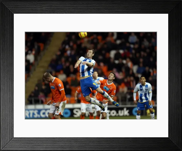 Framed Print : Brighton & Hove Albion vs. Blackpool: Away Game - December 29, 2013