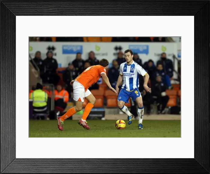 Framed Print : Brighton & Hove Albion Away at Blackpool (2013-14 Season)