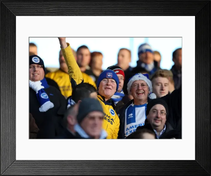 Framed Print : Brighton & Hove Albion Away at Blackpool (2013-14 Season) Framed Print : Brighton & Hove Albion Away at Blackpool (2013-14 Season)