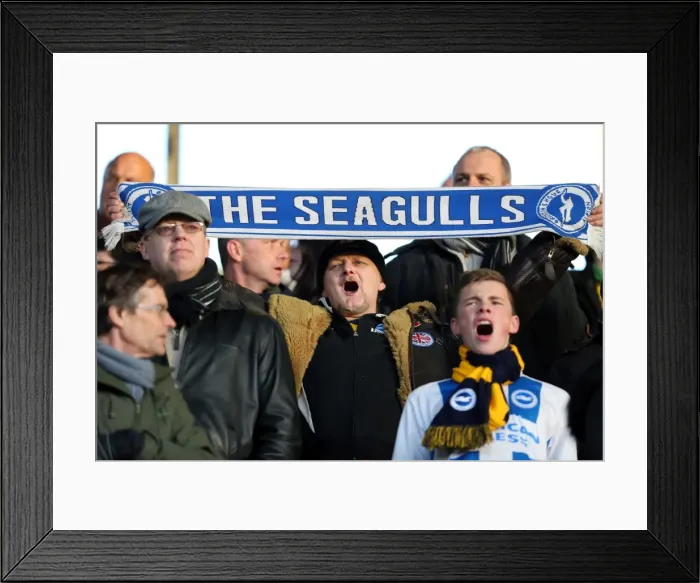 Framed Print : Brighton & Hove Albion vs. Blackpool: 2013-14 Away Game (December 29)