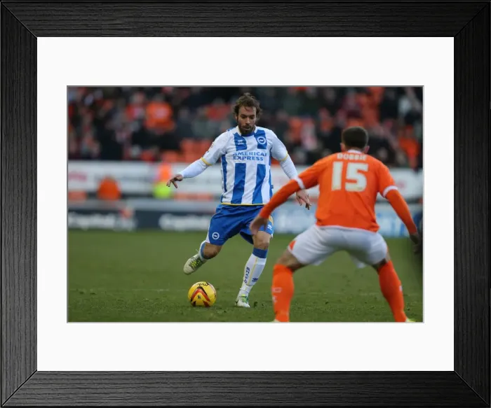 Framed Print : Brighton & Hove Albion Away at Blackpool (2013-14 Season)