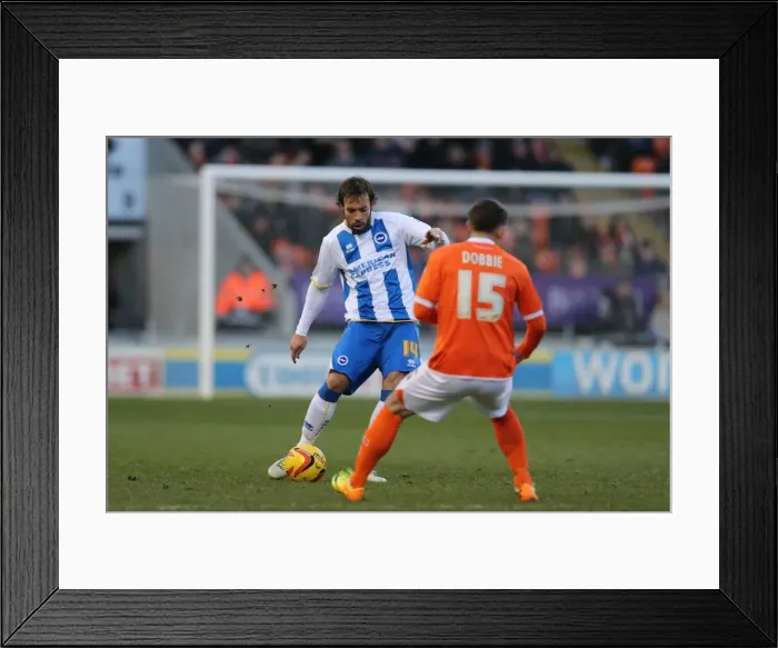Framed Print : Brighton & Hove Albion Away at Blackpool (29-12-2013) - Season 2013-14 Framed Print : Brighton & Hove Albion Away at Blackpool (29-12-2013) - Season 2013-14