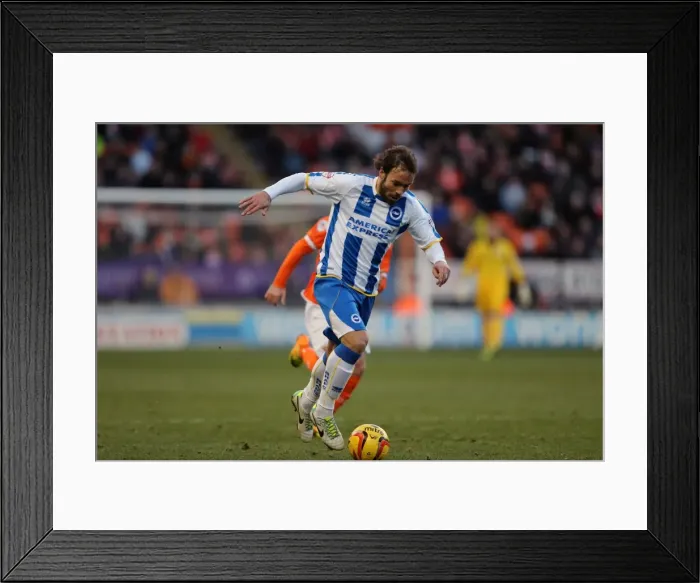 Framed Print : Brighton & Hove Albion Away at Blackpool (2013-14 Season)