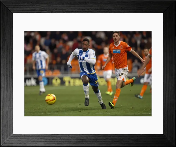 Framed Print : Brighton & Hove Albion Away at Blackpool (2013-14 Season) Framed Print : Brighton & Hove Albion Away at Blackpool (2013-14 Season)