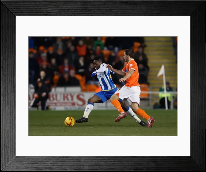 Framed Print : Brighton & Hove Albion at Blackpool (2013-14 Season): Away Game Highlights - December 29, 2013 Framed Print : Brighton & Hove Albion at Blackpool (2013-14 Season): Away Game Highlights - December 29, 2013