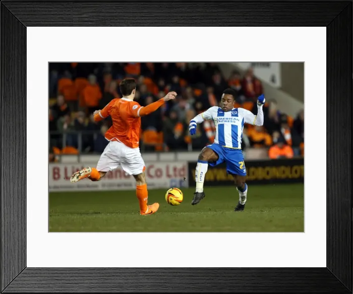 Framed Print : Brighton & Hove Albion Away at Blackpool (2013-14 Season): 29-12-2013 Framed Print : Brighton & Hove Albion Away at Blackpool (2013-14 Season): 29-12-2013