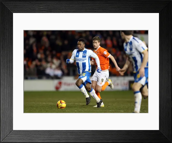 Framed Print : Brighton & Hove Albion at Blackpool (December 29, 2013) - 2013-14 Season: Away Game Framed Print : Brighton & Hove Albion at Blackpool (December 29, 2013) - 2013-14 Season: Away Game