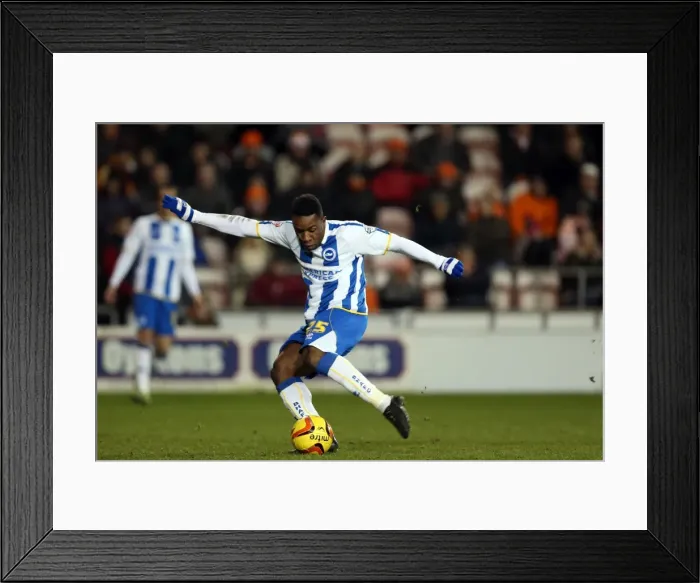 Framed Print : Brighton & Hove Albion Away at Blackpool (2013-14 Season) Framed Print : Brighton & Hove Albion Away at Blackpool (2013-14 Season)