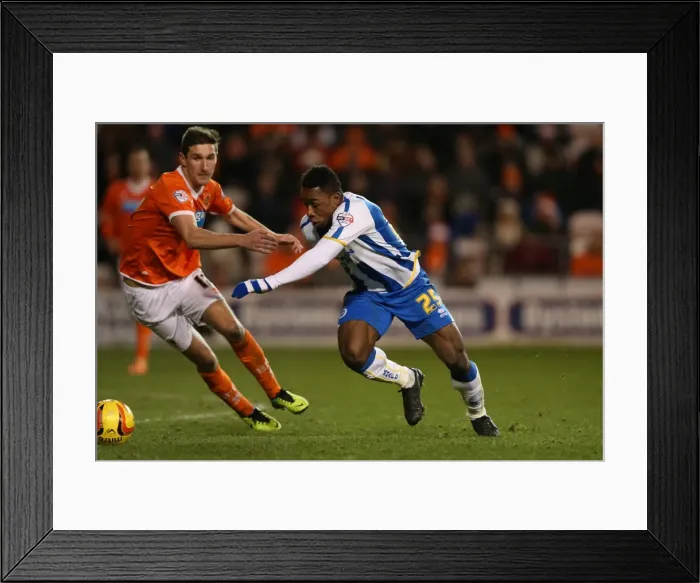 Framed Print : Brighton & Hove Albion Away at Blackpool (29-12-2013) - Season 2013-14 Framed Print : Brighton & Hove Albion Away at Blackpool (29-12-2013) - Season 2013-14