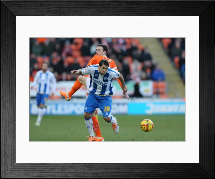 Framed Print : Brighton & Hove Albion Away at Blackpool (2013-14 Season) Framed Print : Brighton & Hove Albion Away at Blackpool (2013-14 Season)