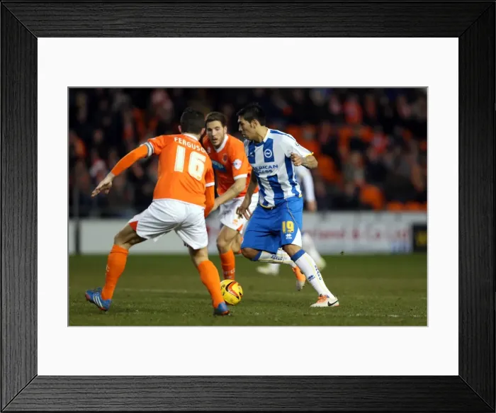 Framed Print : Brighton & Hove Albion Away at Blackpool (2013-14 Season): December 29, 2013 Framed Print : Brighton & Hove Albion Away at Blackpool (2013-14 Season): December 29, 2013