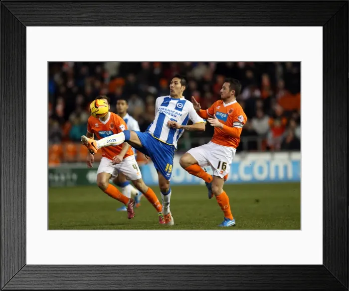 Framed Print : Brighton & Hove Albion Away at Blackpool (2013-14 Season) Framed Print : Brighton & Hove Albion Away at Blackpool (2013-14 Season)