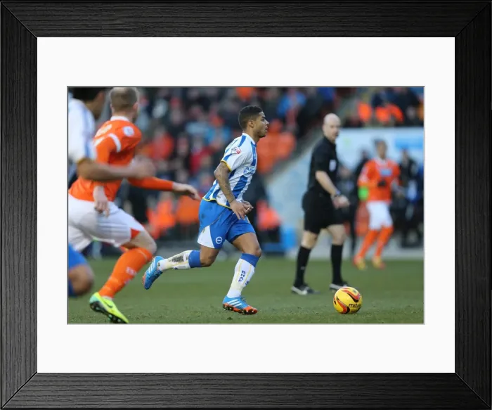 Framed Print : Brighton & Hove Albion vs. Blackpool: Away Game - December 29, 2013 (Season 2013-14) Framed Print : Brighton & Hove Albion vs. Blackpool: Away Game - December 29, 2013 (Season 2013-14)