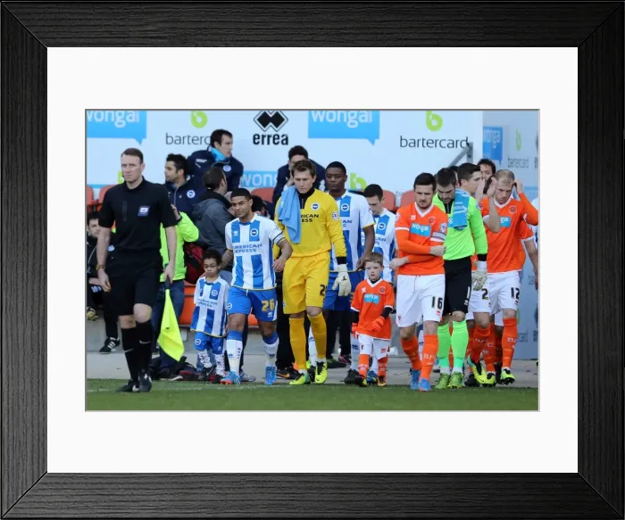 Framed Print : Brighton & Hove Albion vs. Blackpool: Away Game - December 29, 2013